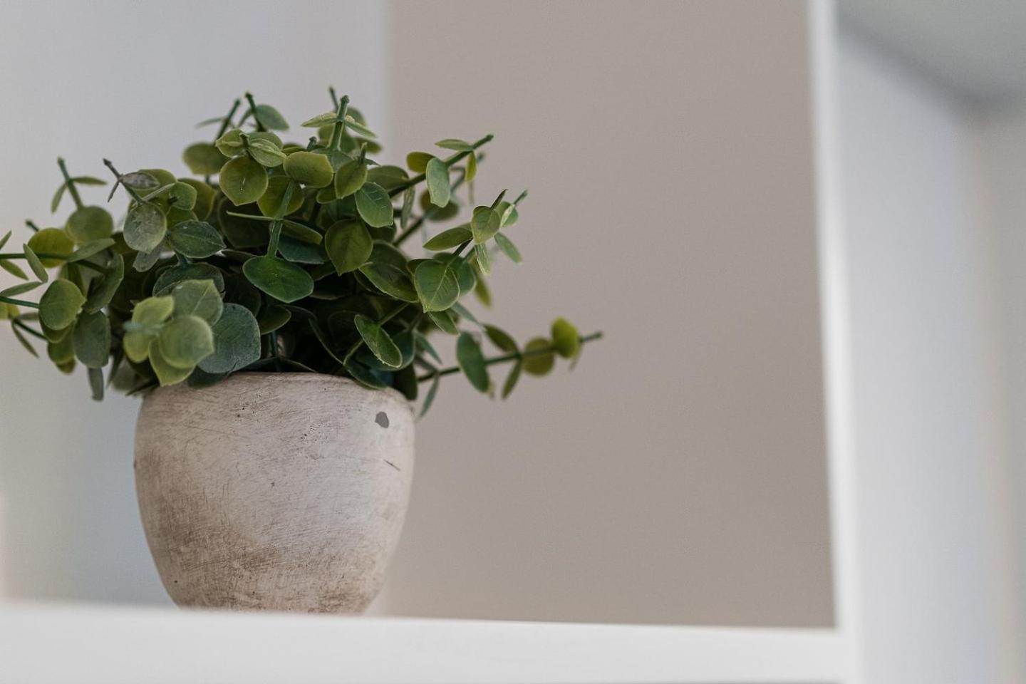 Apartmán Guestready - Bourse Boutique Porto Exteriér fotografie